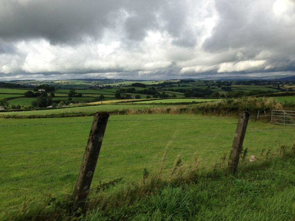 20130805-201444.jpg