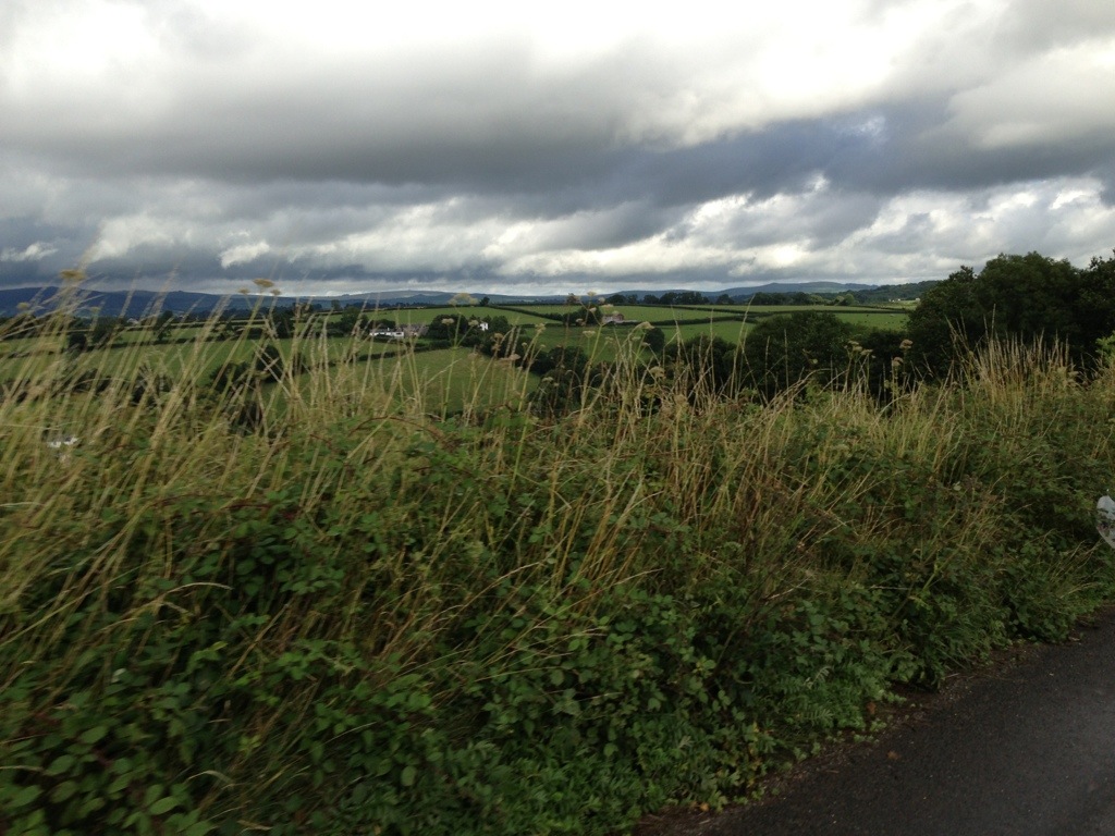 20130805-201505.jpg