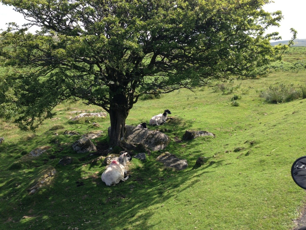 20130808-203816.jpg