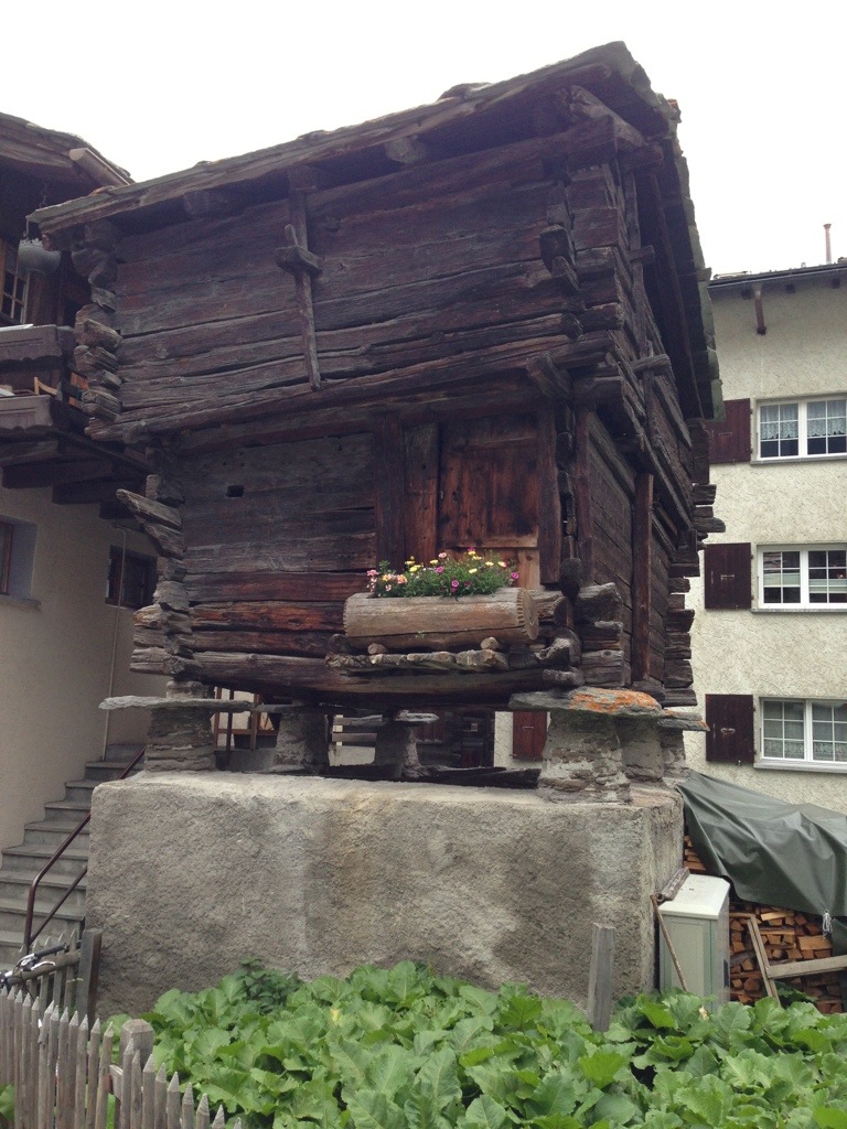 20130814-110353.jpg