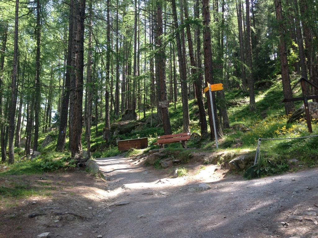 20130814-164509.jpg