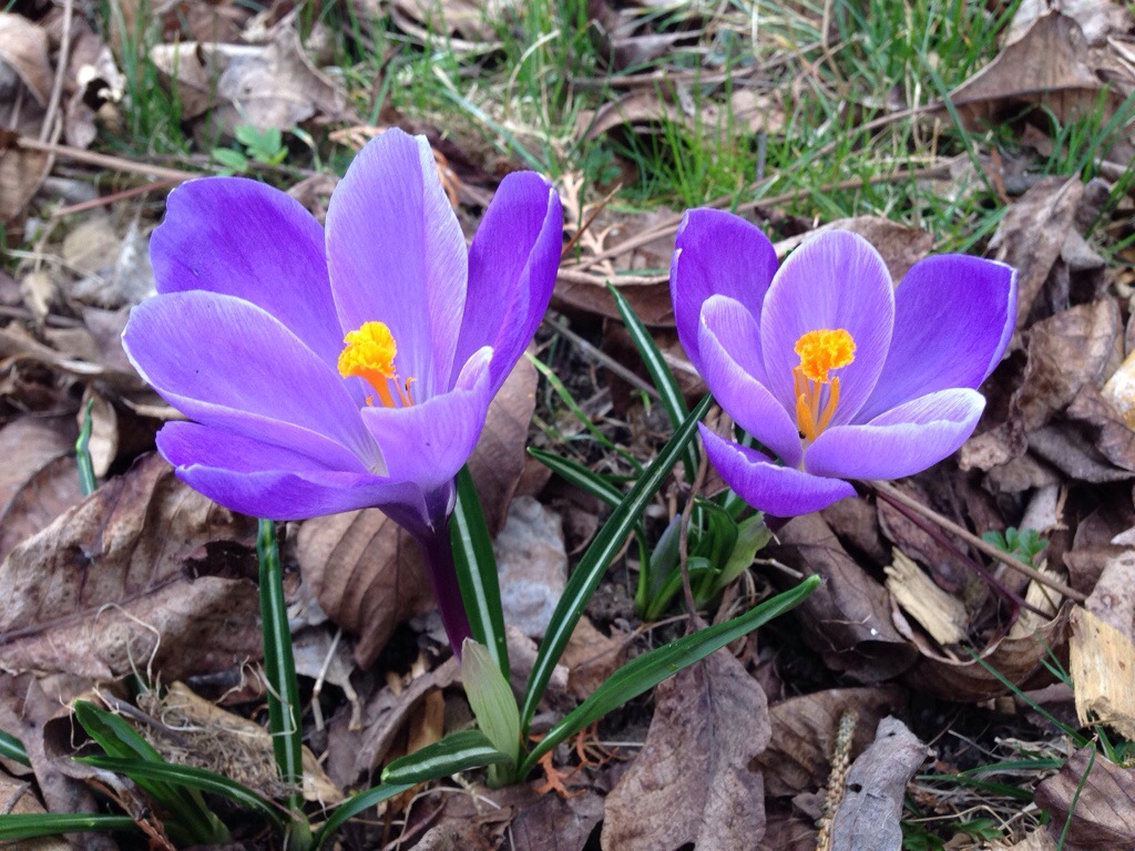20140324-180453.jpg