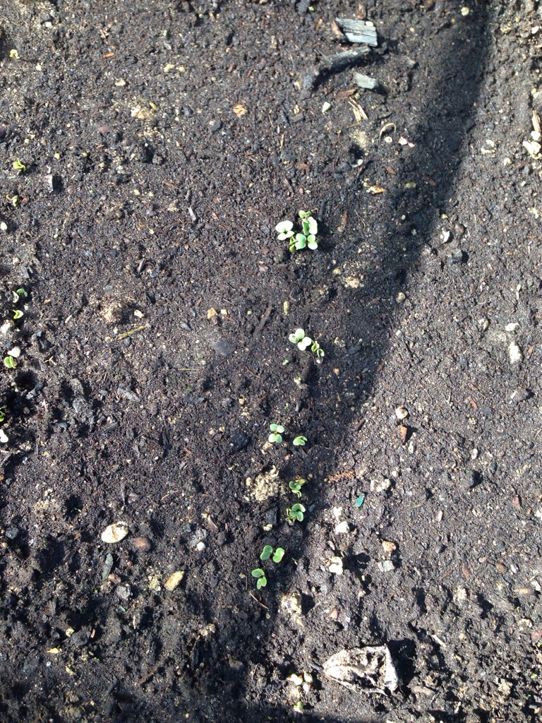 20140324-180654.jpg