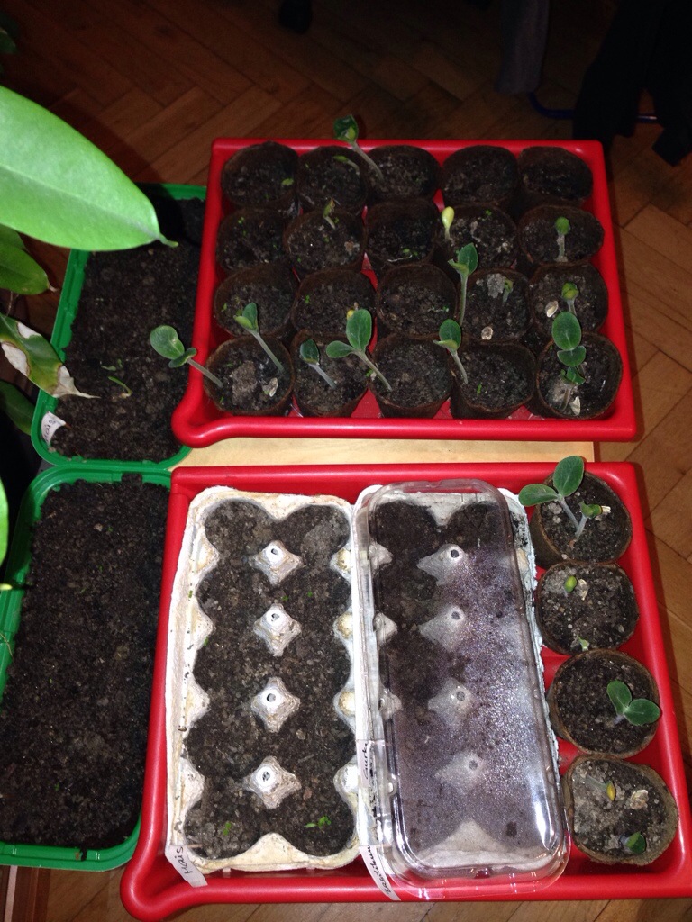 20140324-180733.jpg