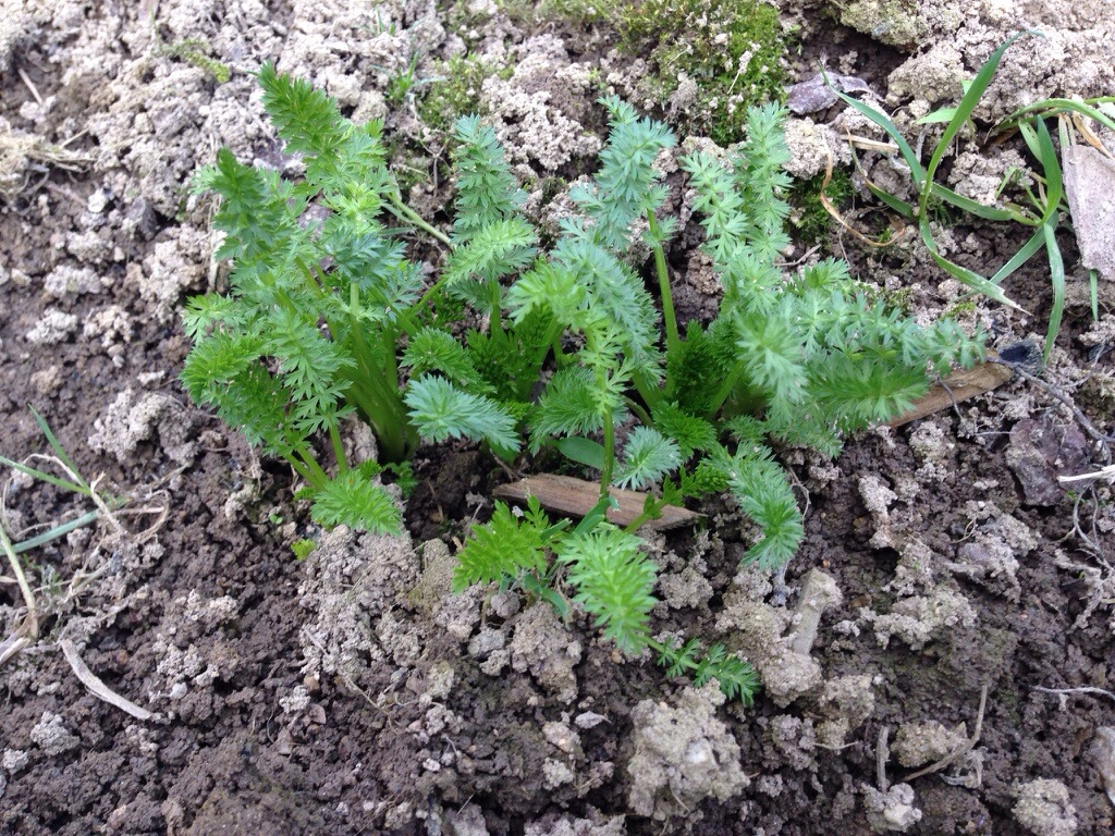 20140324-180755.jpg